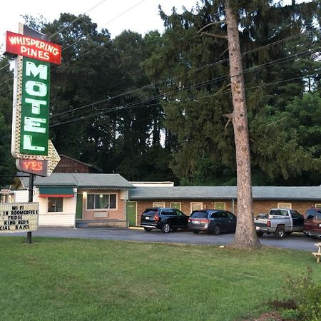 Whispering Pines Motel - Asheville Exterior photo